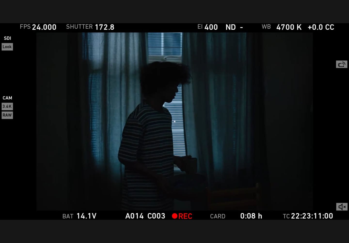 Still 19 of 25 from “Last Summer”