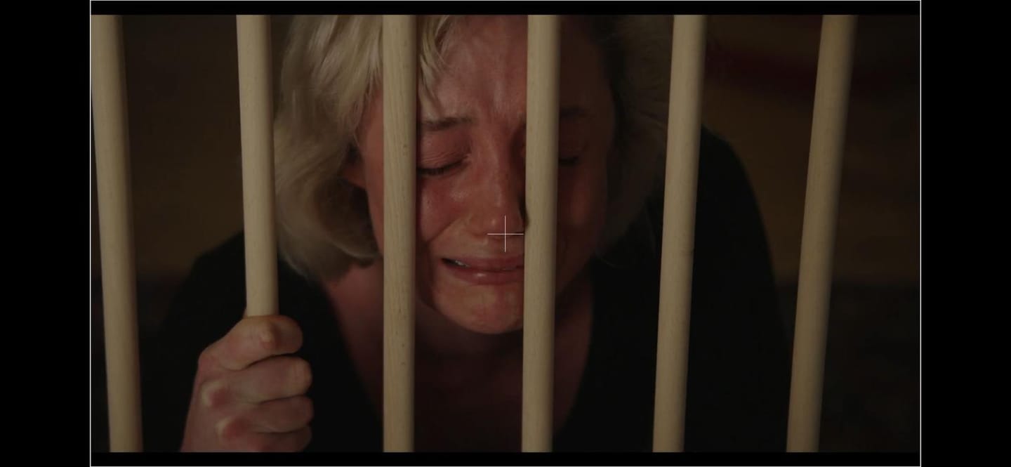 Still 20 of 20 from “Mould”